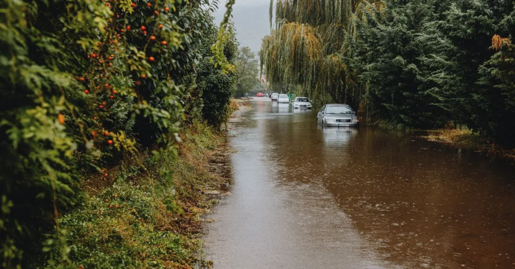 conception de puisard pour l'infiltration des eaux pluviales : guide pratique pour gérer efficacement le drainage et prévenir les inondations.