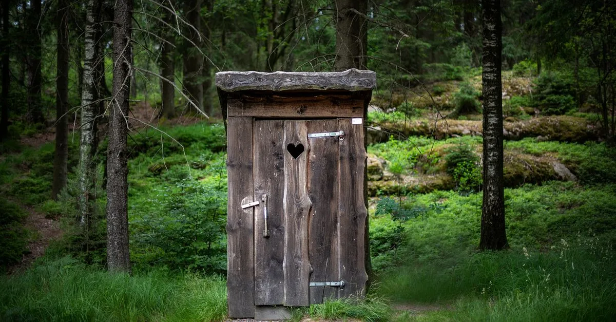 découvrez des solutions efficaces pour déboucher vos toilettes rapidement et prévenir les obstructions. conseils pratiques et astuces pour un entretien optimal.