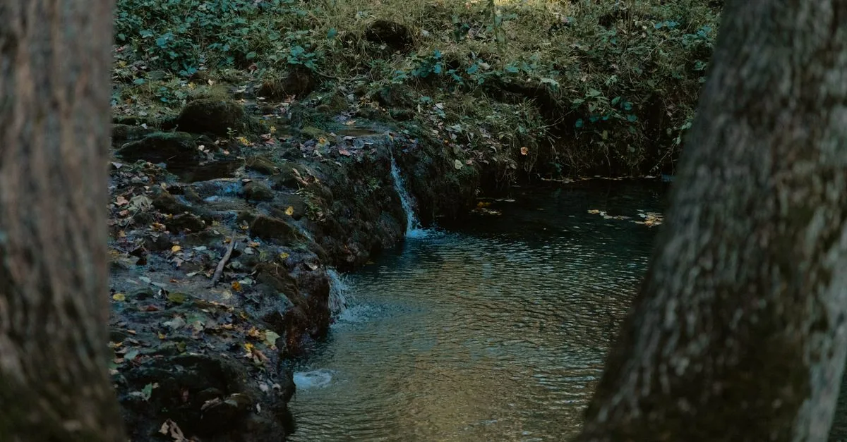comprendre l'intrusion d'eau souterraine : causes, impacts et solutions pour protéger les ressources en eau.