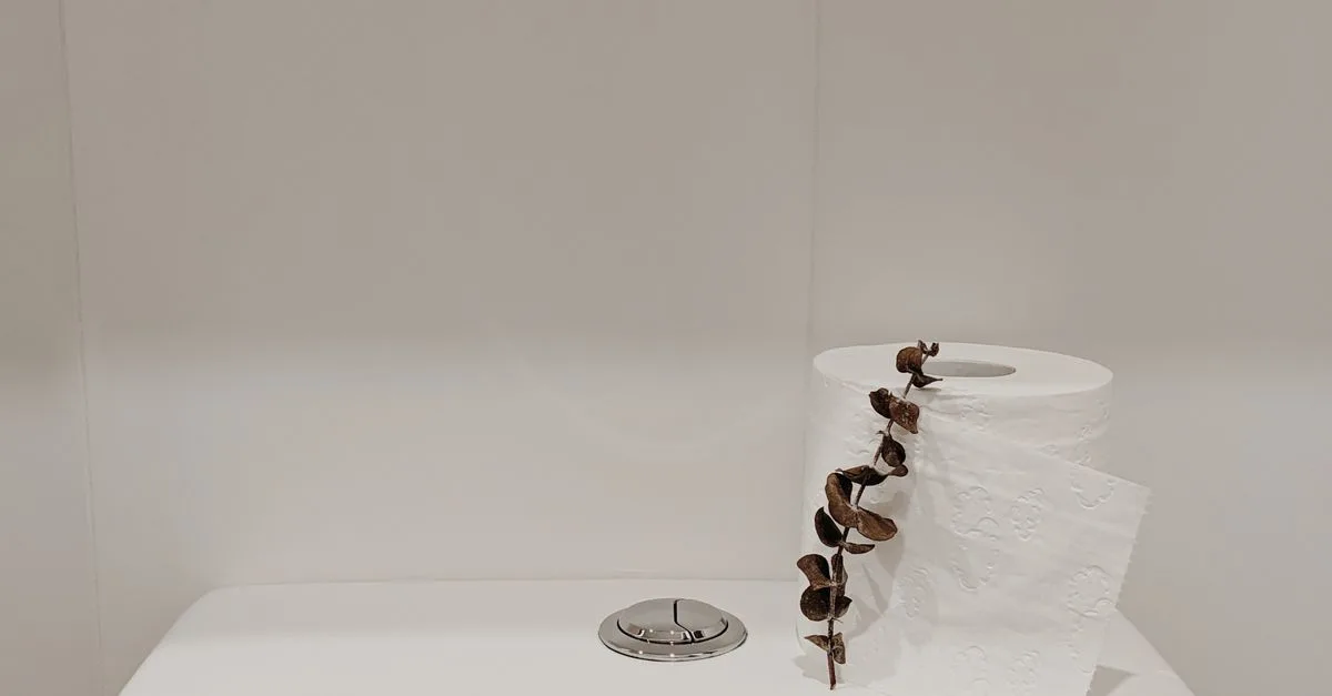 découvrez la puissance de chasse d'eau optimale pour des toilettes propres et performantes, alliant efficacité et économie d'eau.