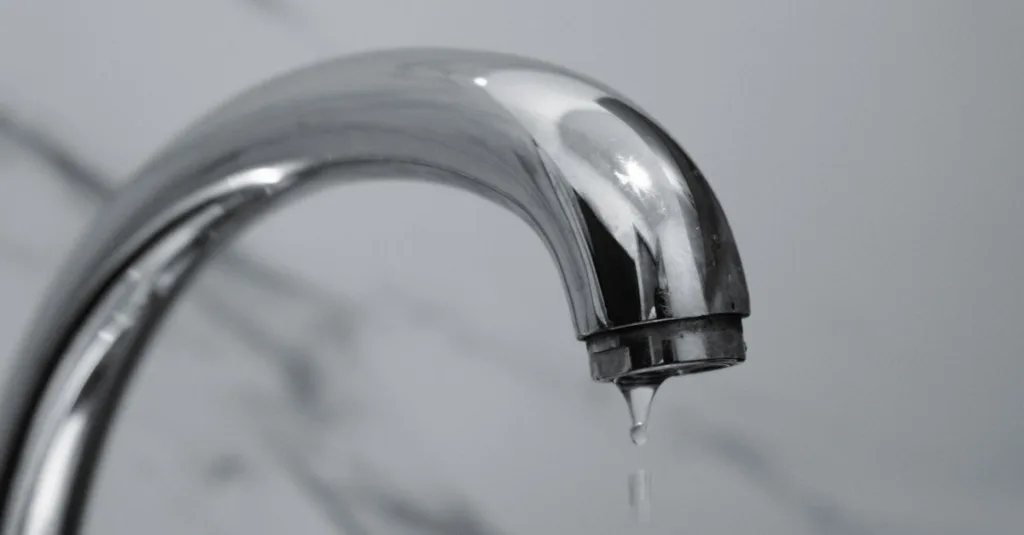 détection de fuites d'eau rapide et efficace pour protéger votre maison et économiser de l'eau.