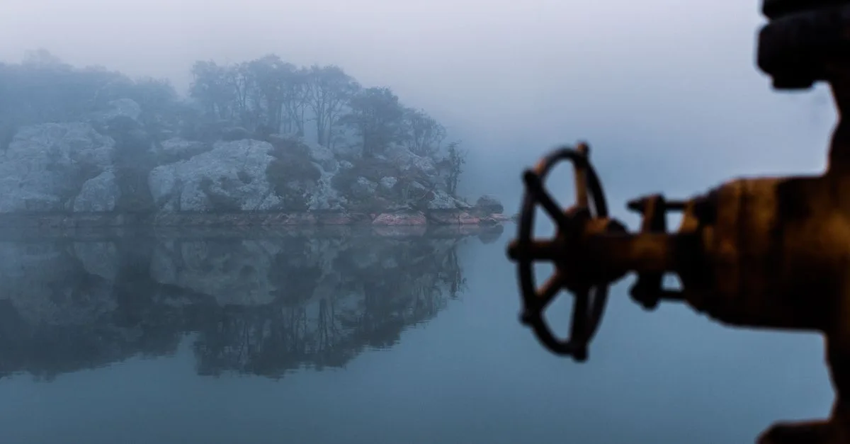 vérifiez l'état de la vanne d'eau en temps réel pour assurer un contrôle optimal et éviter les fuites ou interruptions.
