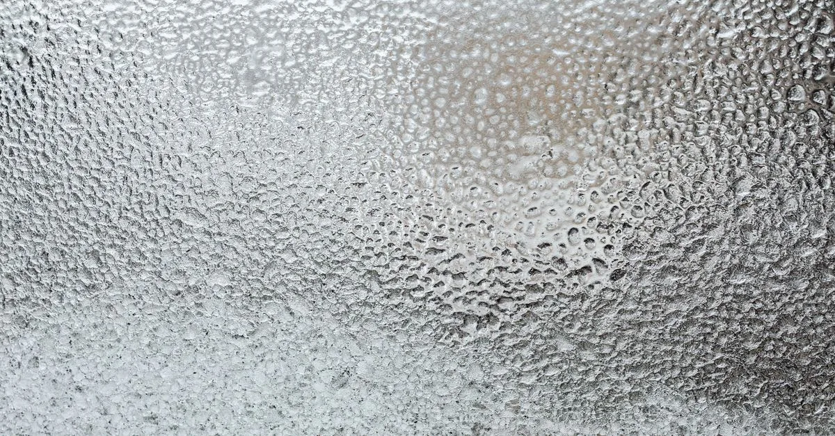 découvrez nos solutions efficaces de protection contre le gel pour préserver vos plantes, équipements et installations des dégâts liés au froid.