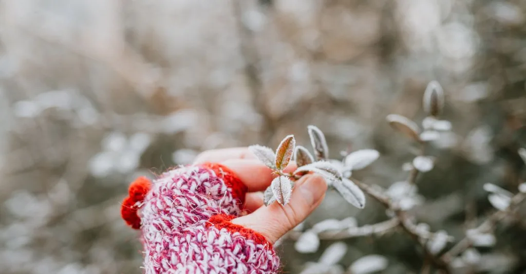 découvrez des solutions efficaces de protection contre le gel pour préserver vos plantes, équipements et installations durant l'hiver.